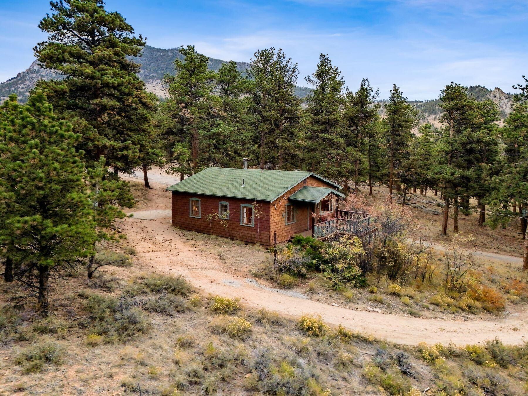 Cabin retreat surrounded by towering pine trees