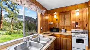 Eine Küche mit Holzausstattung, einer Edelstahl-Spüle, einem Herd, einer Mikrowelle und einem Fenster mit Blick auf ein bewaldetes Gebiet.