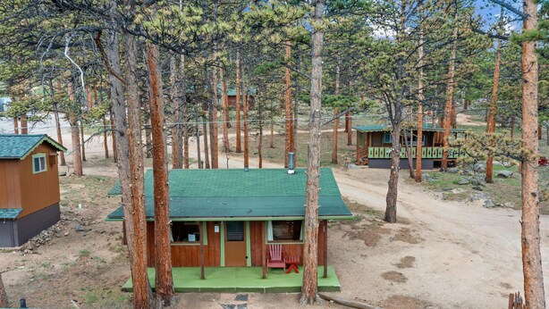 A cabin with a green roof, surrounded by tall pine trees. - Machin's Cottage #7 is calling! Pet Friendly (Estes Park)