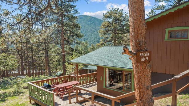 Une cabane dotée d’une terrasse, d’une table de pique-nique et d’un espace barbecue, le tout entouré d’arbres et de montagnes.