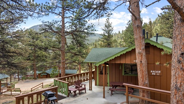 Une cabane dotée d’un toit végétalisé, d’une terrasse en bois et de tables de pique-nique.