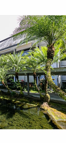 Cozy and convenient apartment located in Hilo