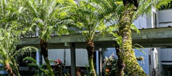 Cozy and convenient apartment located in Hilo