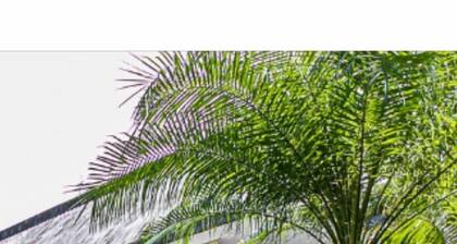 Cozy and convenient apartment located in Hilo