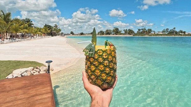 A hand holding a pineapple with a drink, overlooking a beach with clear turquoise water and palm trees. - Prestige Golf Villa Privad Pool Privad Pool vista cana- Punta cana (Punta Cana)