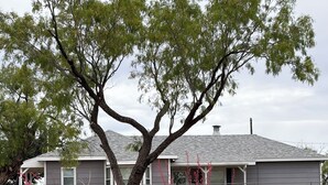 A house with a large tree in front, a fenced yard, and a gravel driveway.