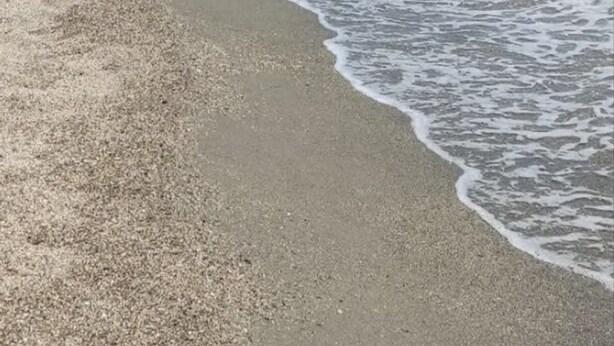 A beach with clear water, a sandy shore, and a distant building on a hill. - Diana s House 2 - Gytheio Sandy Beach Haven (East Mani)
