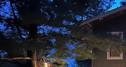 Spacious Modern Light Filled Oasis