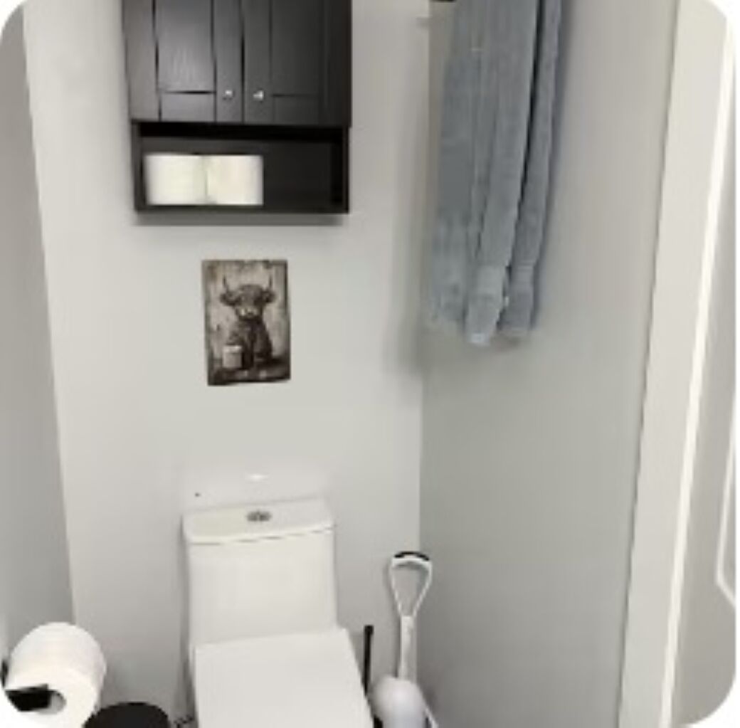 A bathroom with a toilet, a roll of toilet paper, a towel, and a picture on the wall.