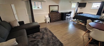 Spacious Bachelor Basement Suite of Historic  Old Home. Pet Friendly. Cable TV
