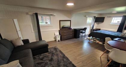 Spacious Bachelor Basement Suite of Historic Old Home. Pet Friendly. Cable TV
