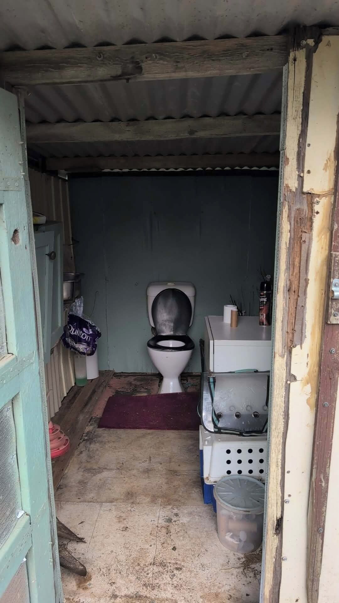 Håndklæder, Toiletpapir