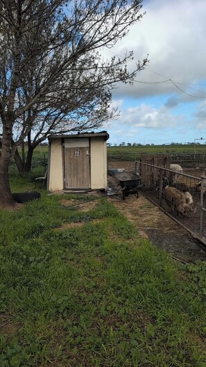 Property grounds - Caravan For Two 10m South Of Balaklava (Erith)