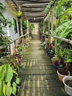 Property grounds - MINA GRANDE BEACH COTTAGES (El Nido)