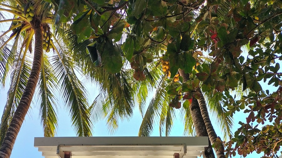 MINA GRANDE BEACH COTTAGES