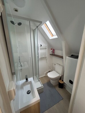 Ein kleines, modernes Badezimmer mit einer Duschkabine aus Glas, einem weißen Waschbecken und einer Toilette.