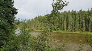 A river surrounded by dense forest.