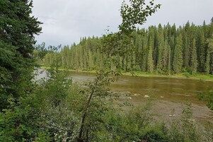 A river surrounded by dense forest.
