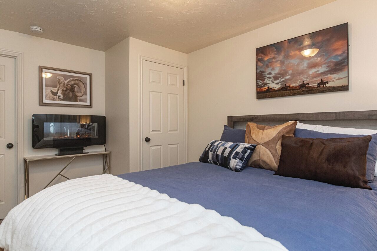 Une chambre à coucher avec un lit, un téléviseur posé sur un meuble, une porte et un tableau accroché au mur.