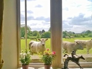 Interior - Stable Cottage Battens Farm (Chippenham)