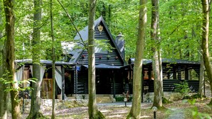 A log cabin with a steep roof and a stone foundation, surrounded by a forest. - Forest home with pool, jacuzzi and sauna for relaxing and fun (Ivanec)