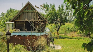 A rustic wooden house with a green roof, a swimming pool, and a garden with various plants and trees.