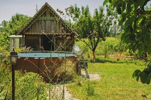 Pool - Authentic Slavonian home with pool, barbecue and orchard (Lug)