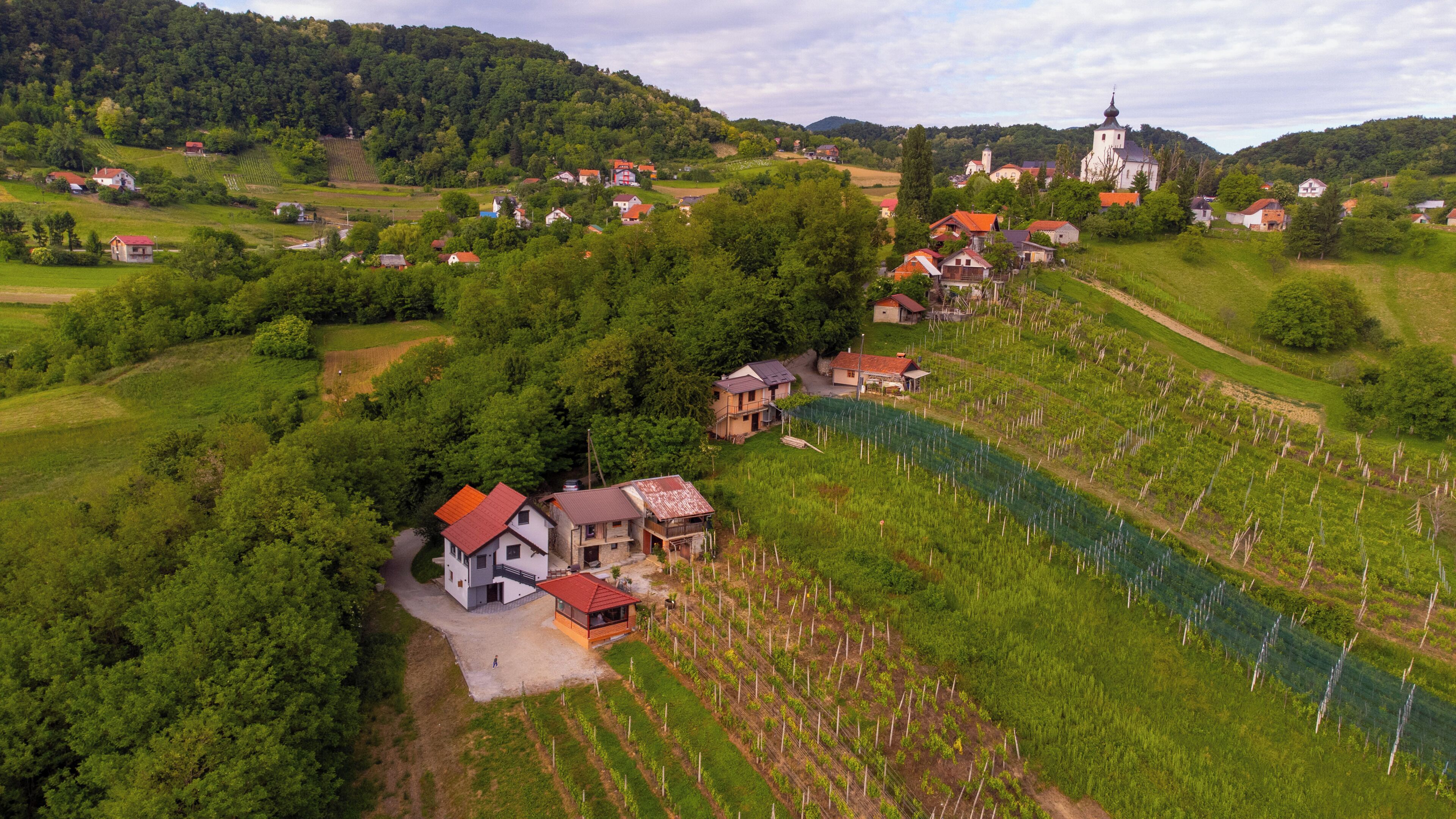 Vue aérienne d’un village rural avec ses maisons, ses vignobles et son église.