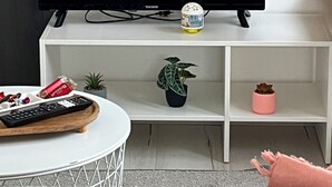 Un televisor de pantalla plana sobre un mueble blanco, una pequeña planta en maceta, una maceta rosa, un control remoto y una mesa redonda blanca.
