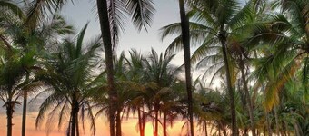 Villa Los Laureles II, Private Pool • Trails • Beaches