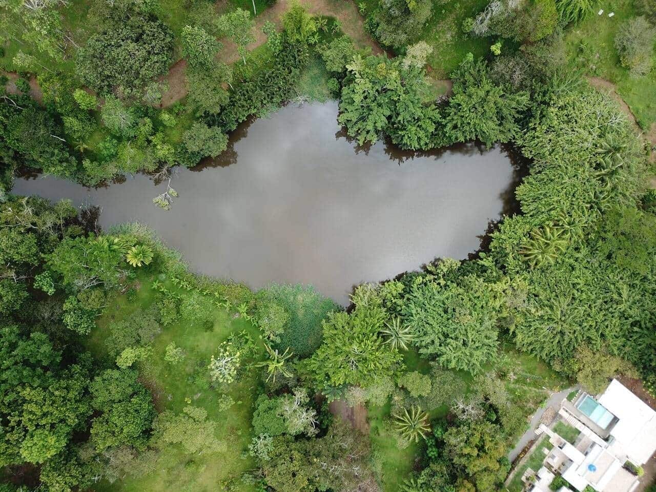 Une vue aérienne d’un étang entouré d’une végétation luxuriante, avec un bâtiment visible dans le coin inférieur droit.