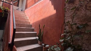 A staircase with potted plants, a red wall, and a window. - CASA H (San Miguel de Allende)
