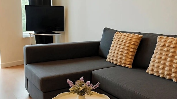 A living room with a dark grey sofa, a round coffee table with a vase of flowers, a flat-screen TV on a stand, and abstract art on the wall. - Cozy apartment canal view (Amsterdam)