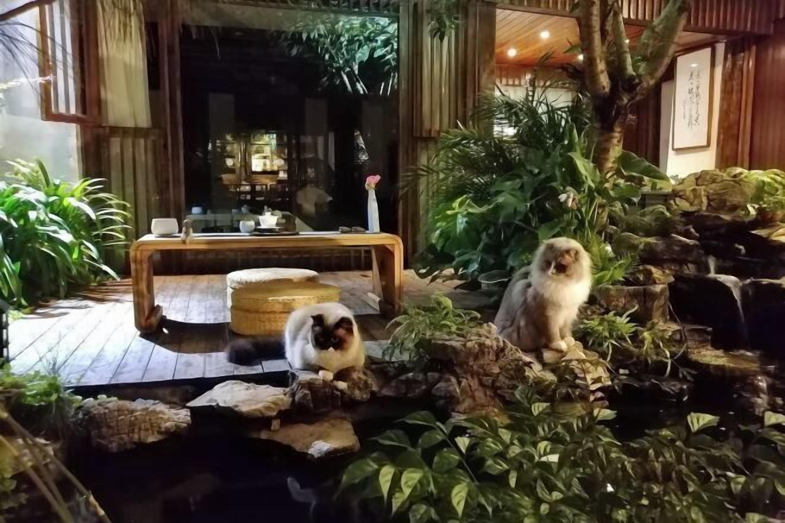 Property amenity