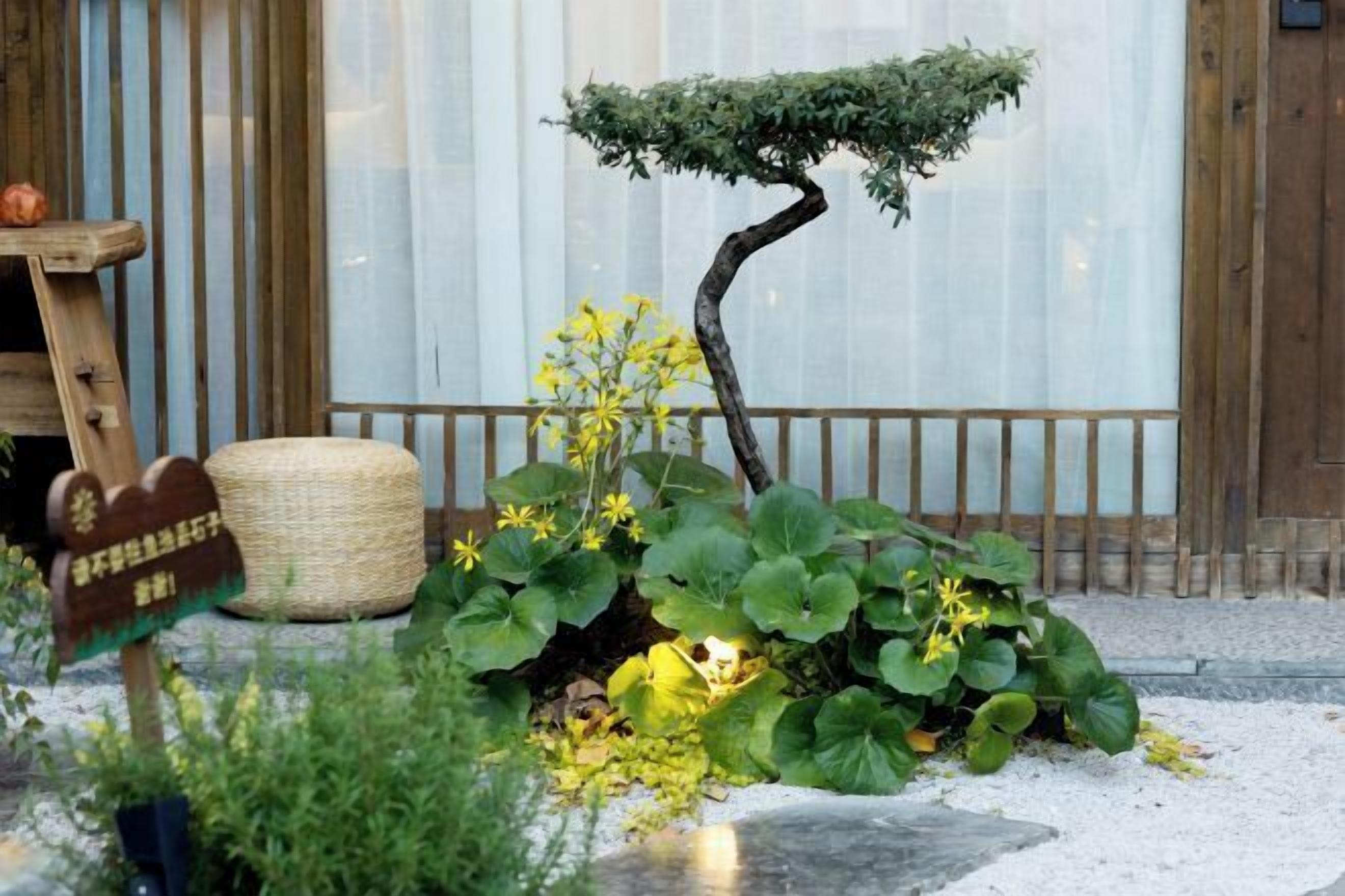Een bonsaiboom, een geweven mand en een houten bordje in een tuin.