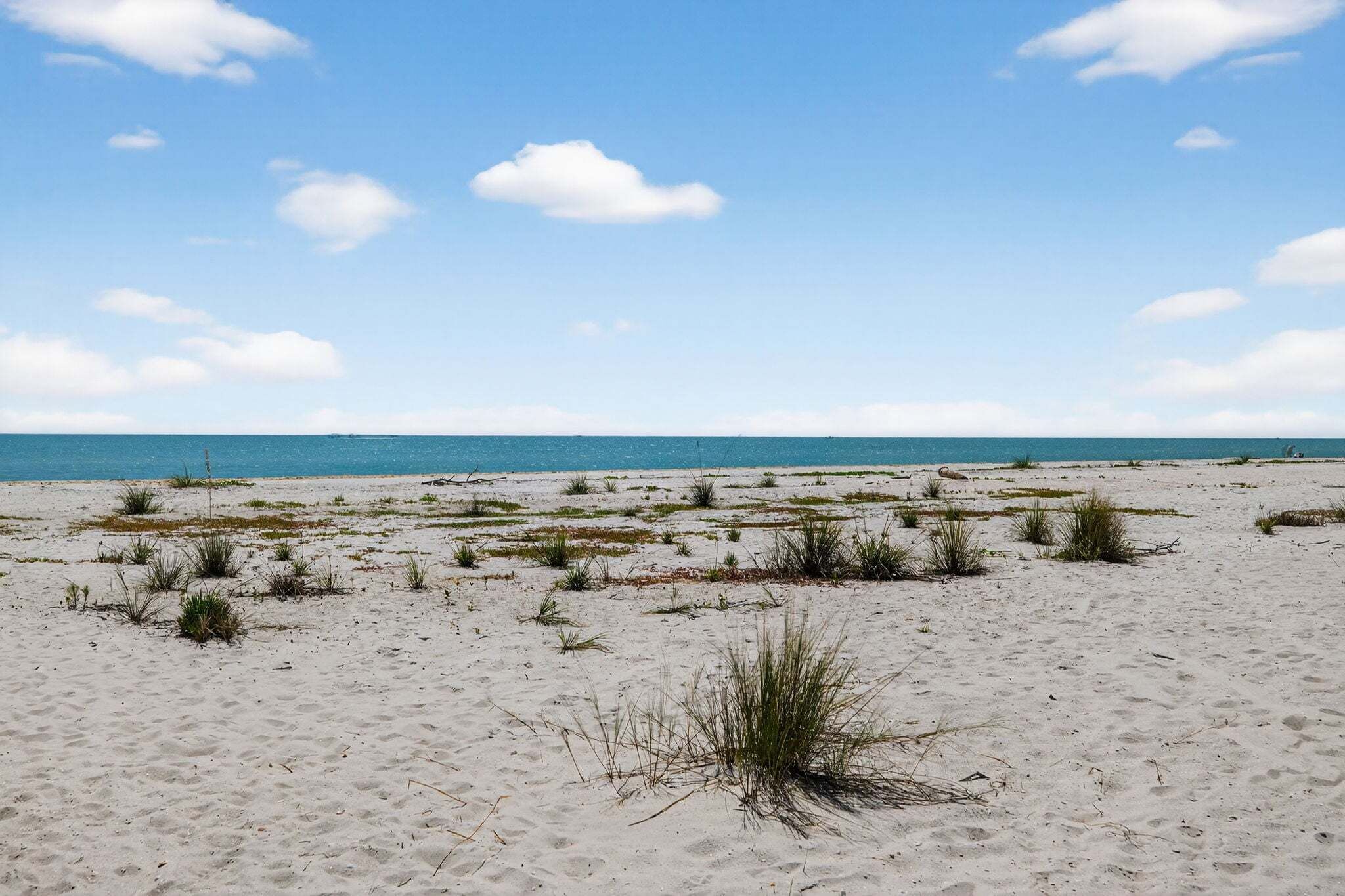 Une plage de sable avec une végétation clairsemée et un ciel bleu dégagé.
