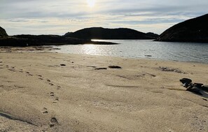 在海灘附近、釣魚