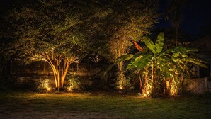 A nighttime garden with illuminated trees and plants, a brick wall, and a grassy area. - Paradise in Koh Phangan with Fast Internet (Ko Pha-ngan)
