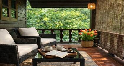 Paradise in Koh Phangan with Fast Internet