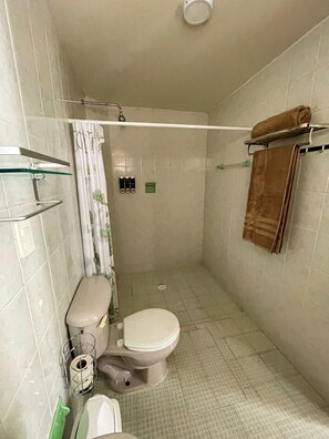 Dusche, Handtücher, Seife, Toilettenpapier