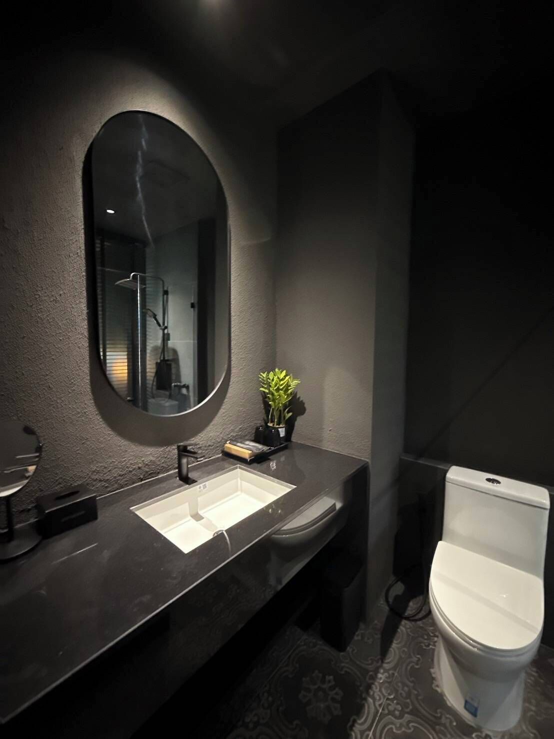 A modern bathroom with a dark countertop, a round mirror, a white sink, a toilet, and a small potted plant.