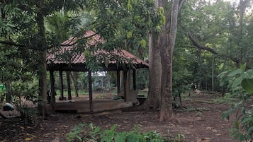 Studio, 1 soverom, røyk, terrasse | Hage