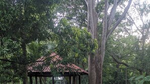 Un belvédère doté d’un toit en tuiles, entouré d’arbres et d’un sol recouvert de gravier.