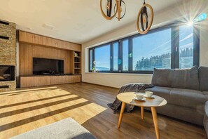 TV, fireplace - Chalet with beautiful panorama and sauna (Albrechtice v Jizerskych horach)