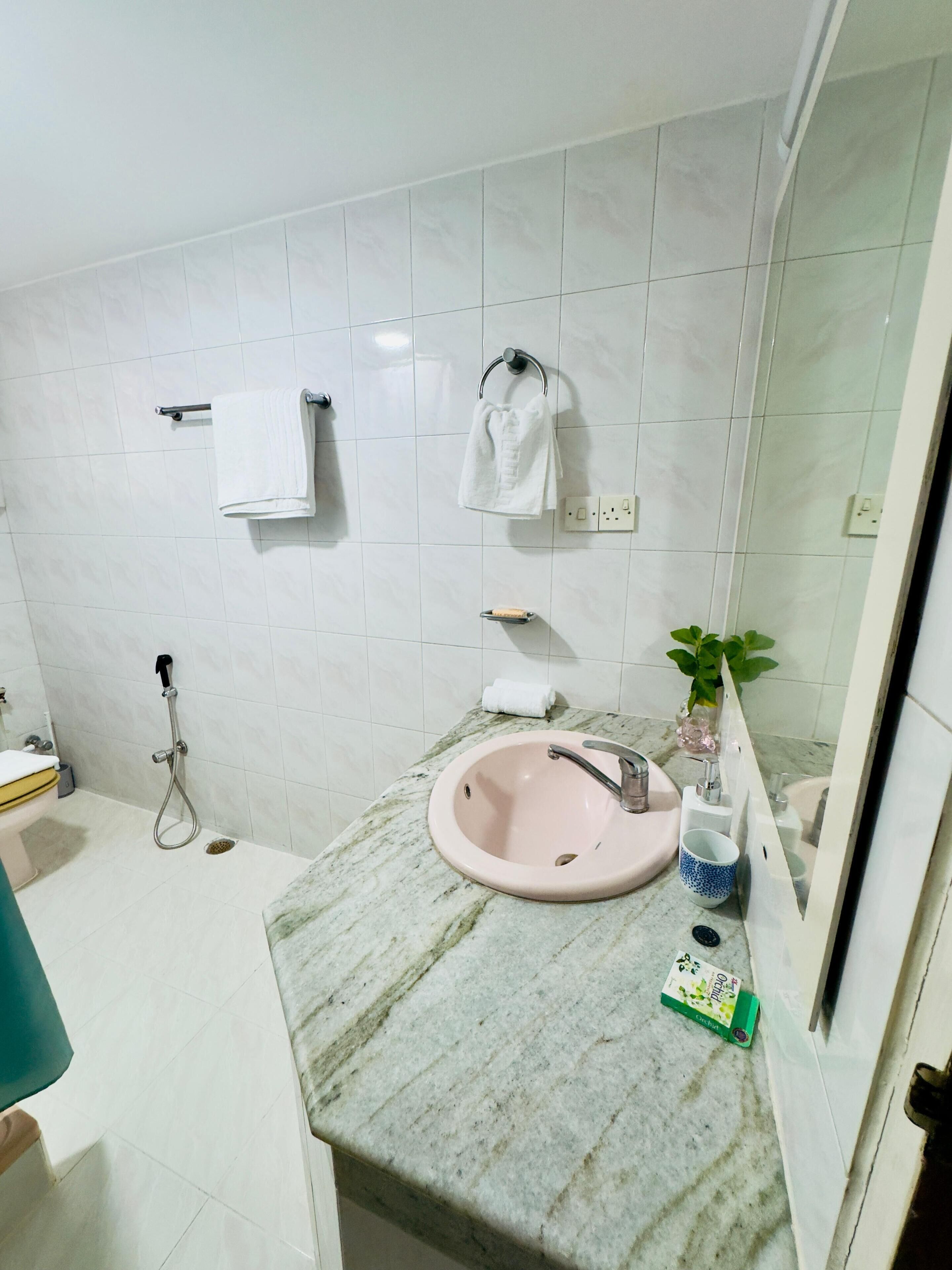 Shower, towels, soap, toilet paper