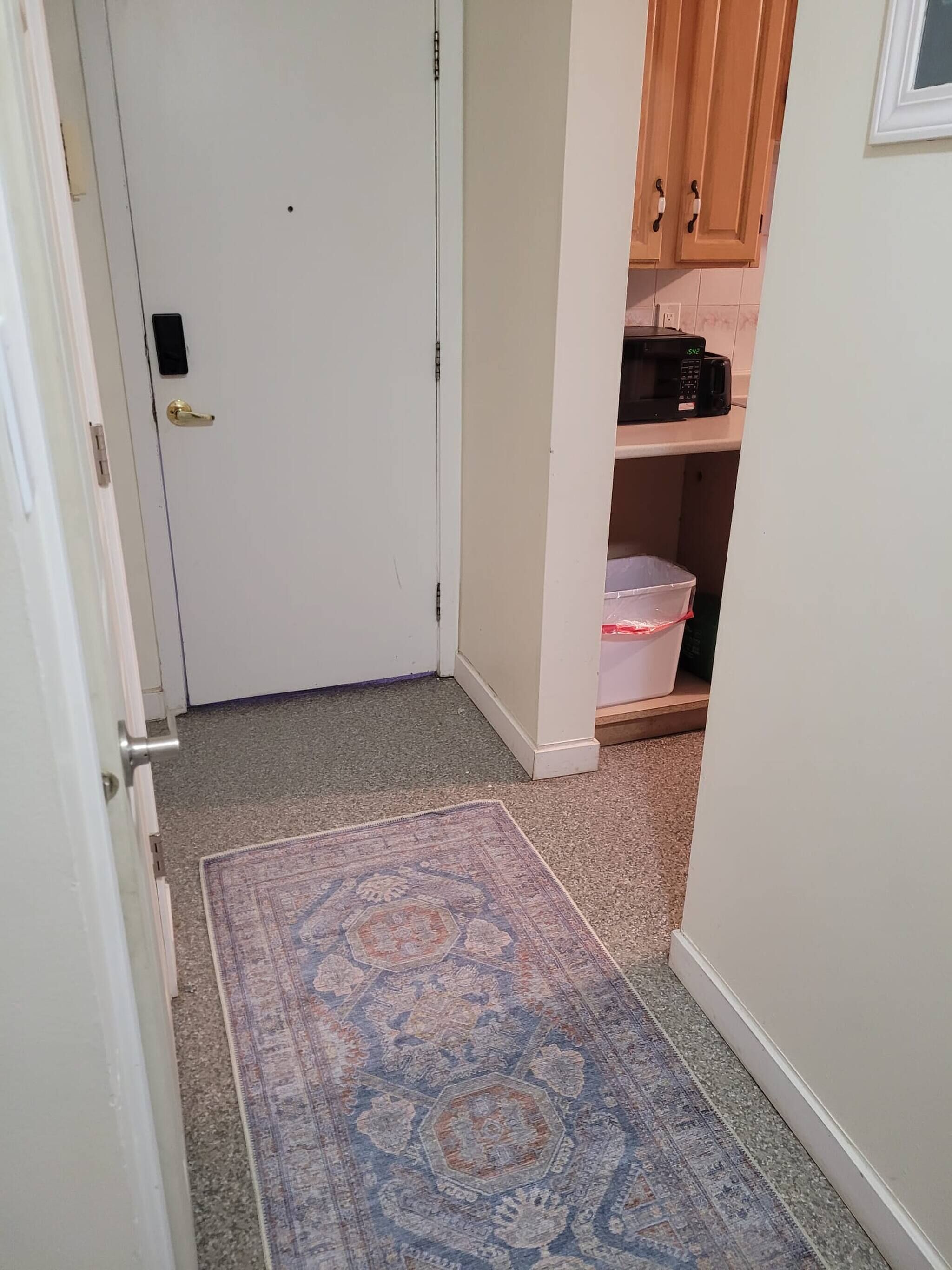 A hallway with a patterned rug, a white door, and wooden cabinets with a microwave above.