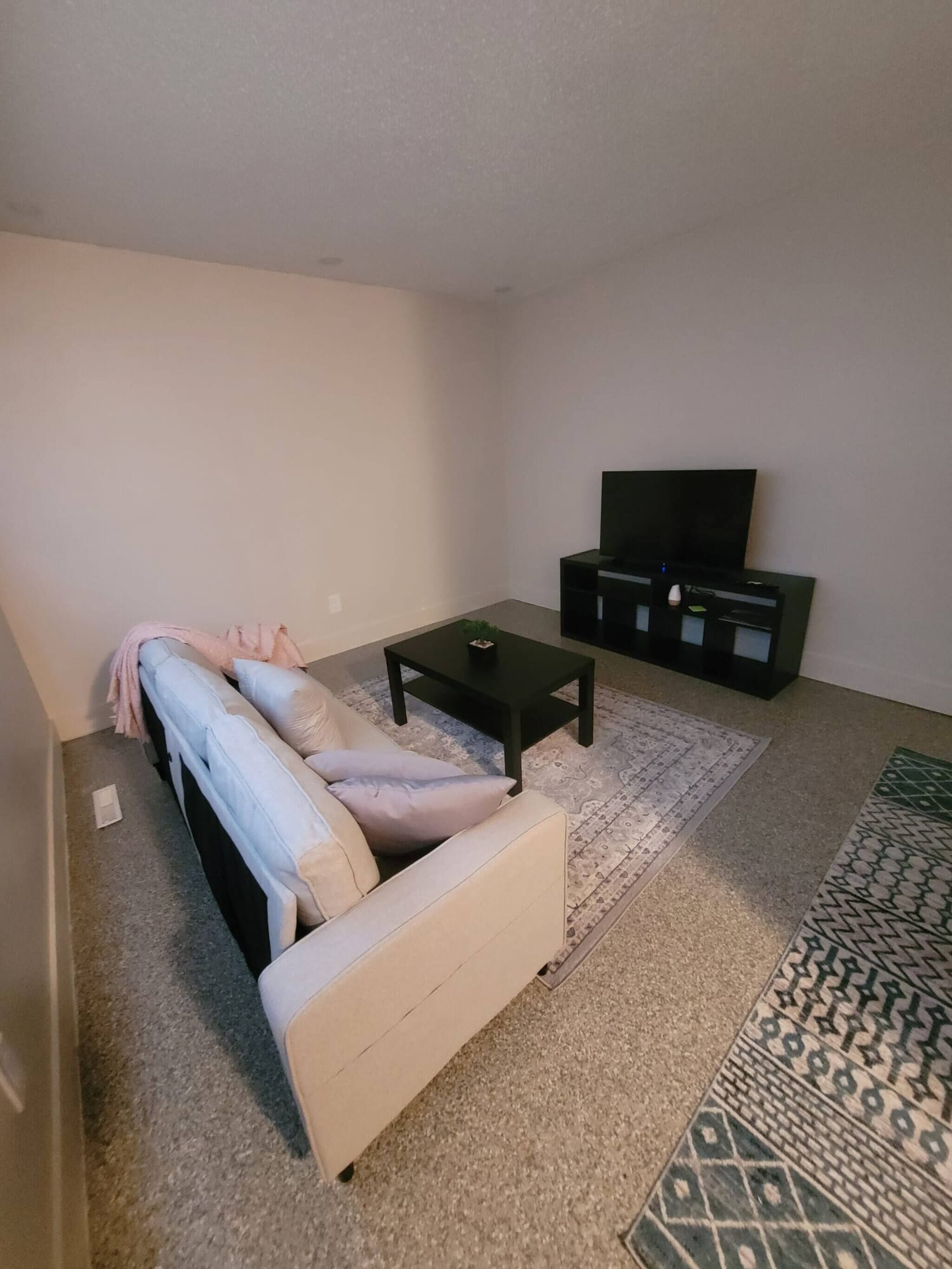 Una sala de estar con sofá, mesa de centro, mueble para televisor y alfombra estampada.