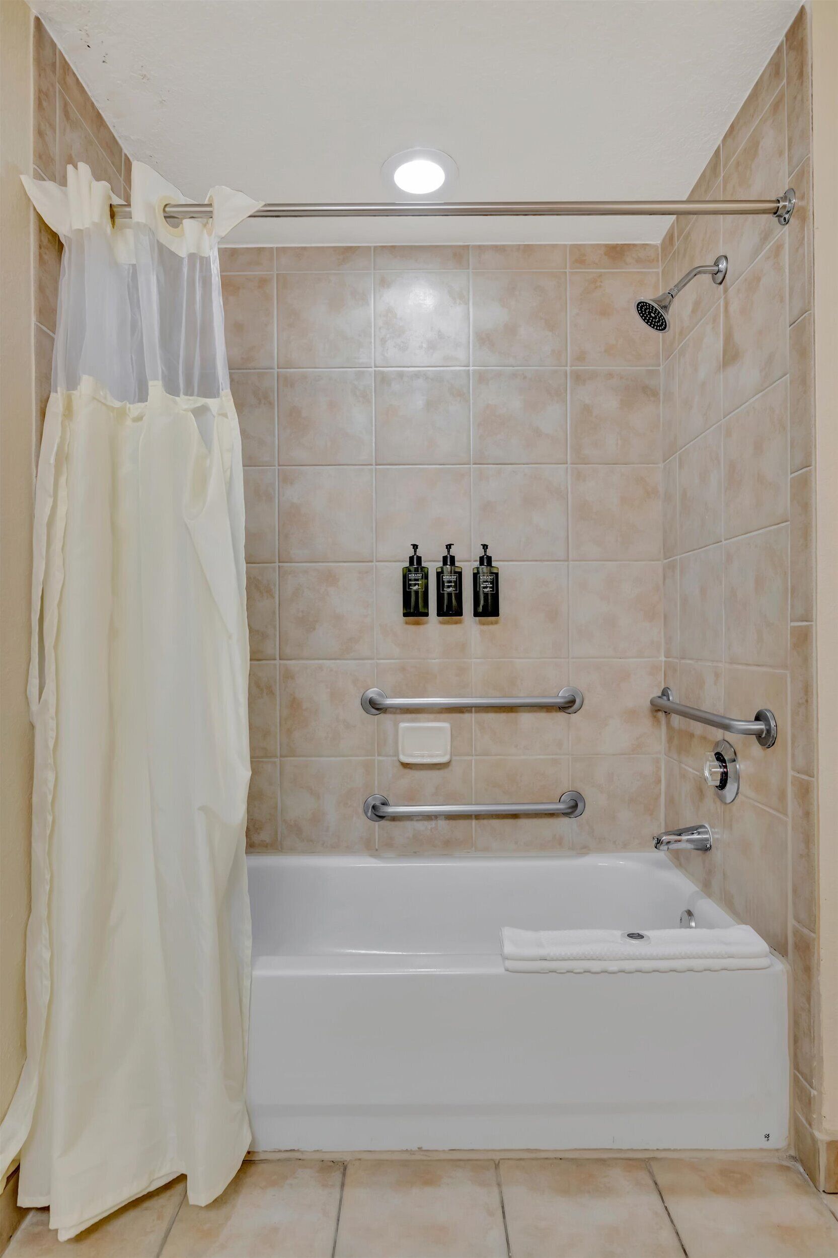 Een badkamer met een bad, douche en handgrepen.