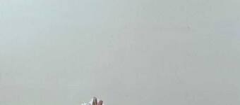 Cozy Stay with Shared Kitchen | Explore Beaches & Dive Spots