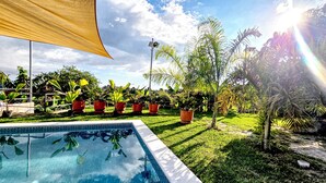 Piscina cercada por plantas em vasos e um gramado.